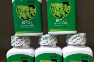 深圳澳美康辣木葉片貼牌案例_德州健之源